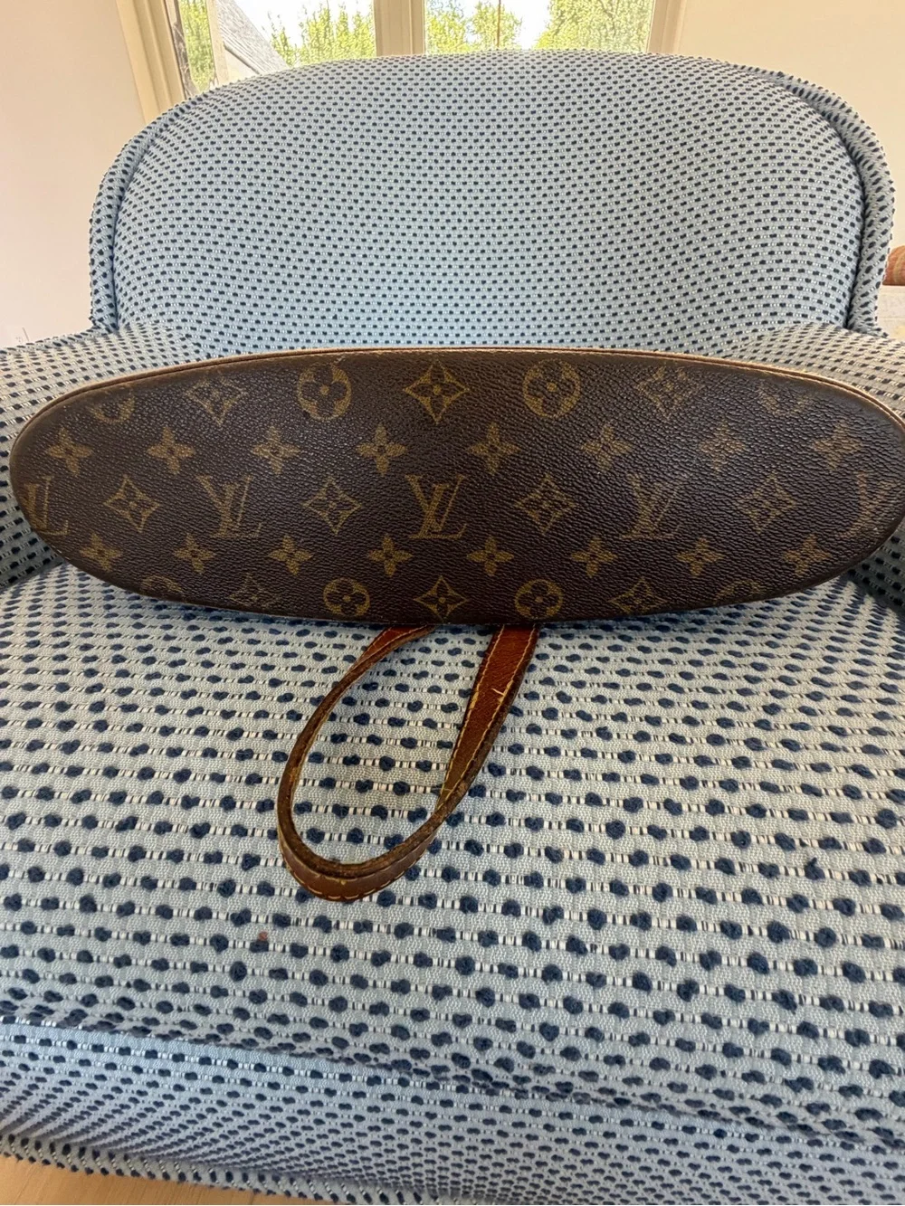 Louis Vuitton authentic louis